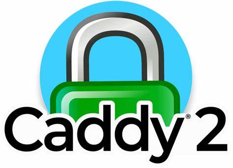 caddy2 使用指南